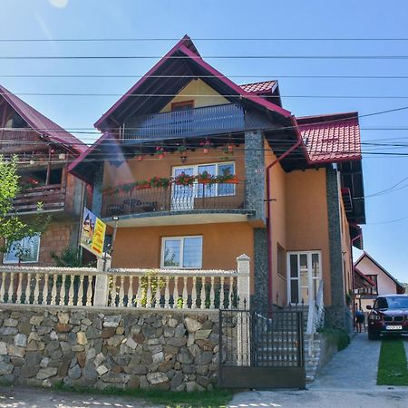 Casa Diana-Maria Lägenhet Curtea de Argeş Exteriör bild