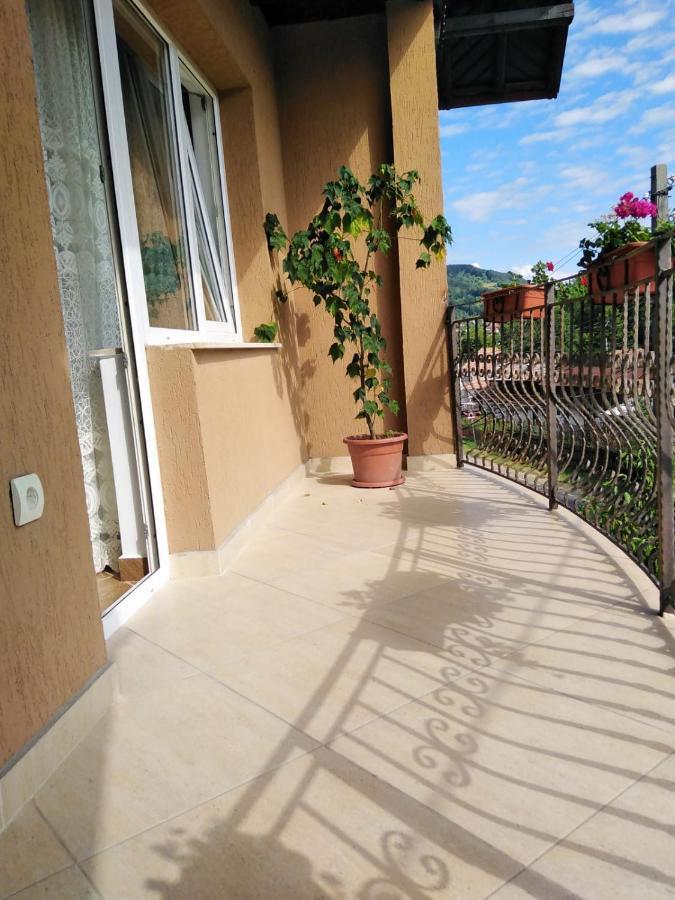 Casa Diana-Maria Lägenhet Curtea de Argeş Exteriör bild