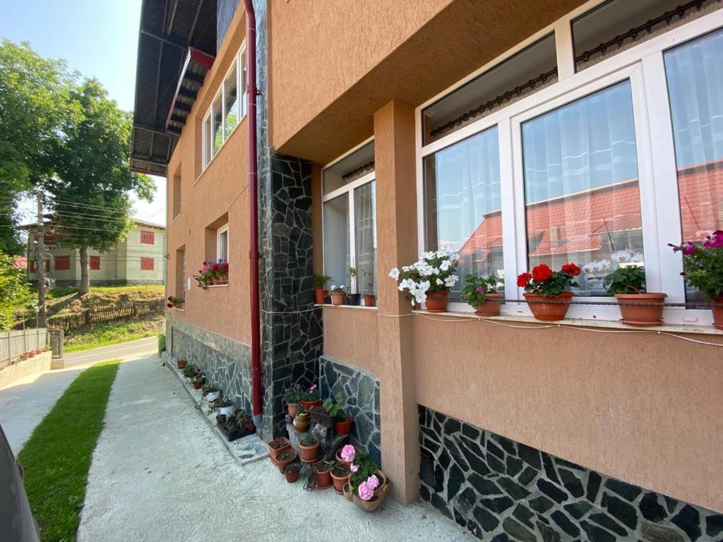 Casa Diana-Maria Lägenhet Curtea de Argeş Exteriör bild