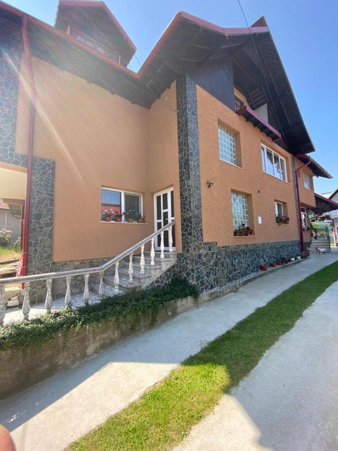 Casa Diana-Maria Lägenhet Curtea de Argeş Exteriör bild