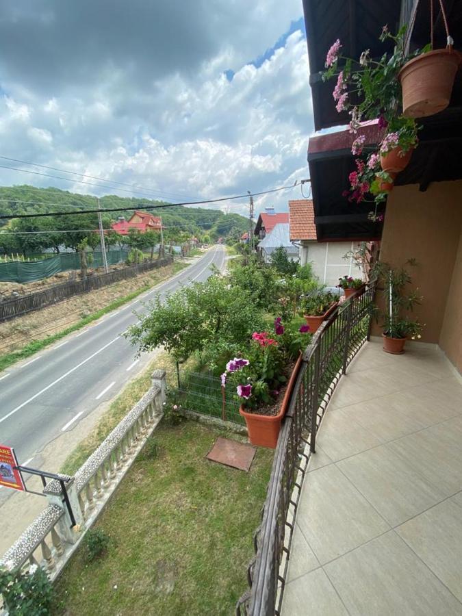 Casa Diana-Maria Lägenhet Curtea de Argeş Exteriör bild