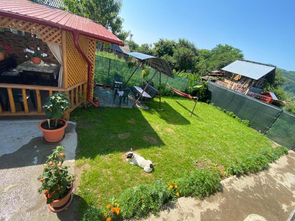 Casa Diana-Maria Lägenhet Curtea de Argeş Exteriör bild