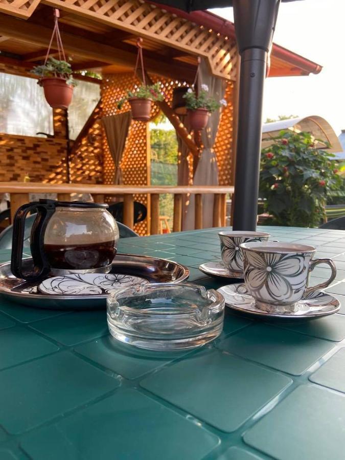 Casa Diana-Maria Lägenhet Curtea de Argeş Exteriör bild