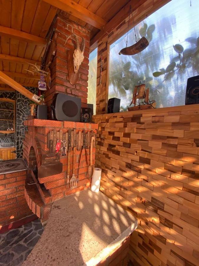 Casa Diana-Maria Lägenhet Curtea de Argeş Exteriör bild