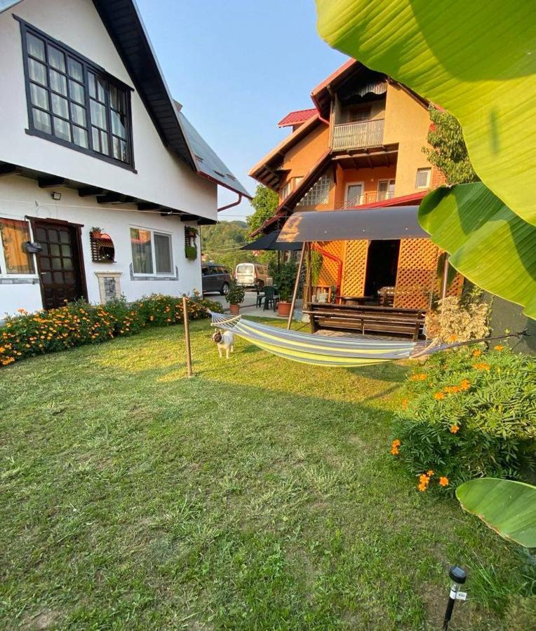 Casa Diana-Maria Lägenhet Curtea de Argeş Exteriör bild