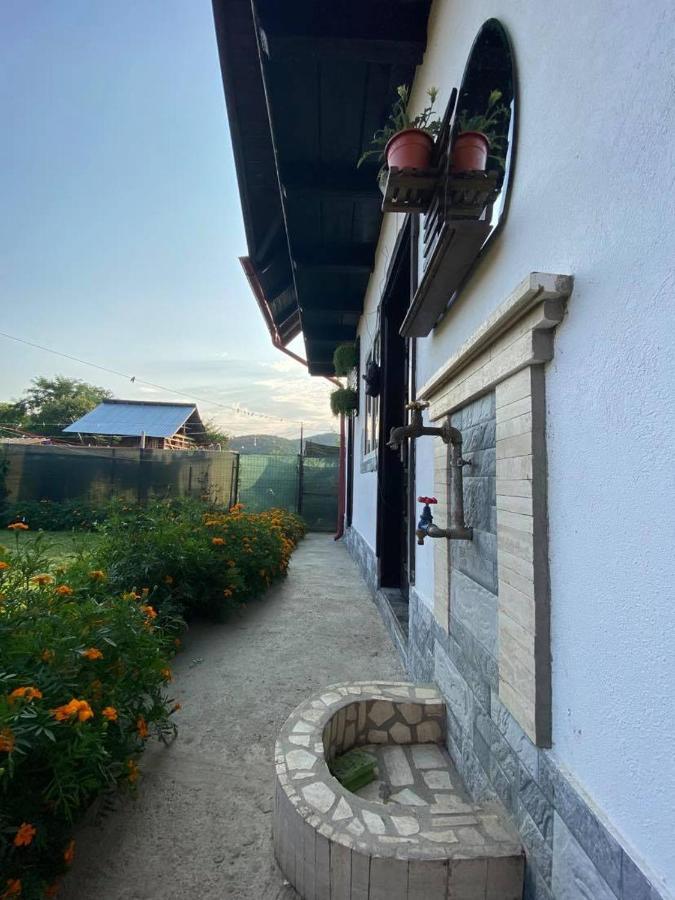 Casa Diana-Maria Lägenhet Curtea de Argeş Exteriör bild