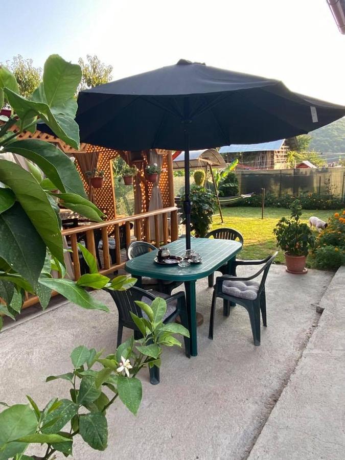 Casa Diana-Maria Lägenhet Curtea de Argeş Exteriör bild