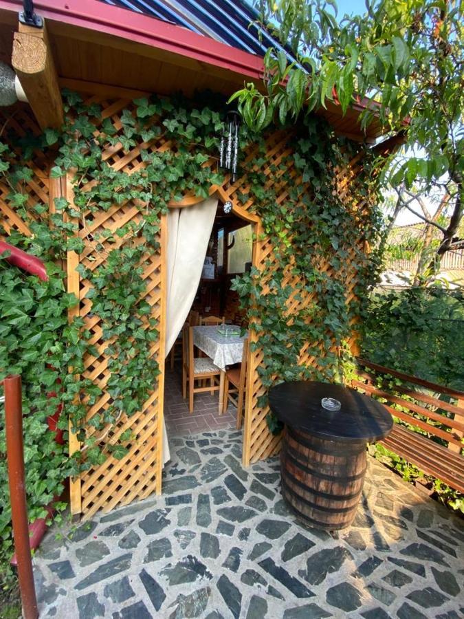 Casa Diana-Maria Lägenhet Curtea de Argeş Exteriör bild