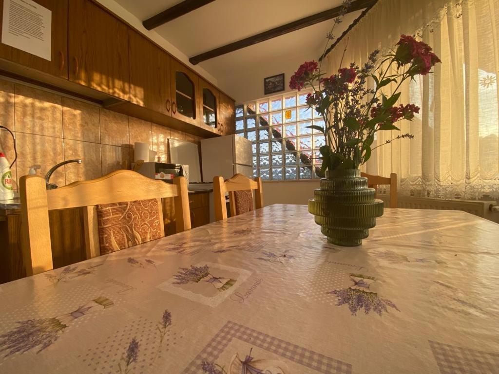 Casa Diana-Maria Lägenhet Curtea de Argeş Exteriör bild
