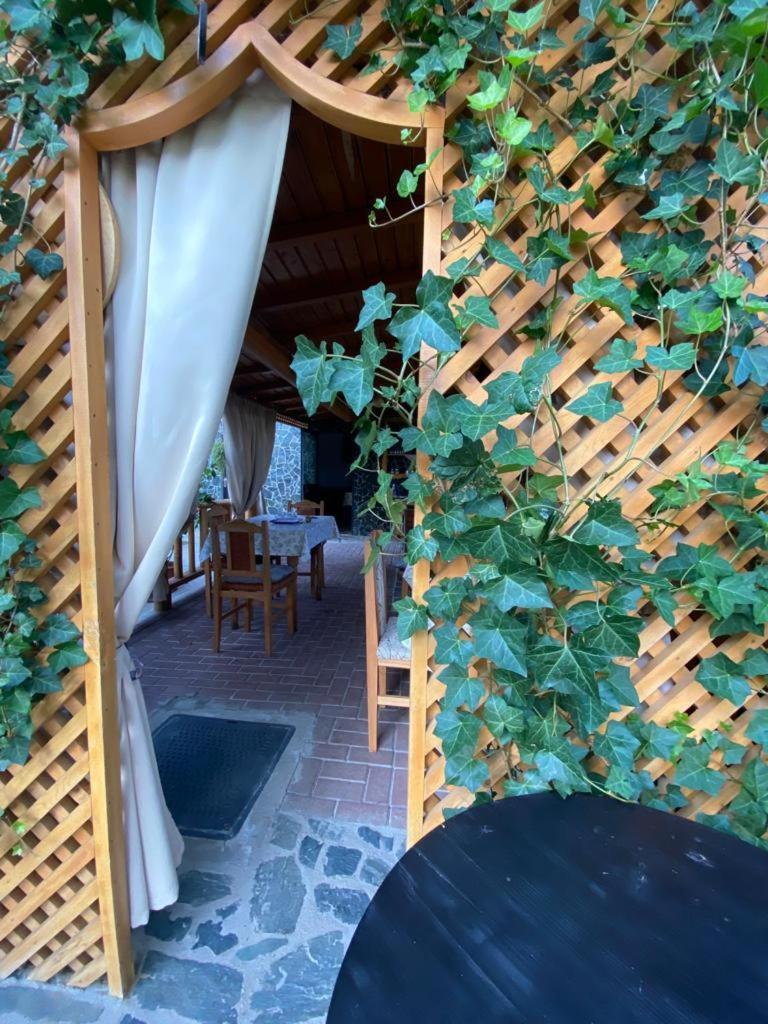 Casa Diana-Maria Lägenhet Curtea de Argeş Exteriör bild