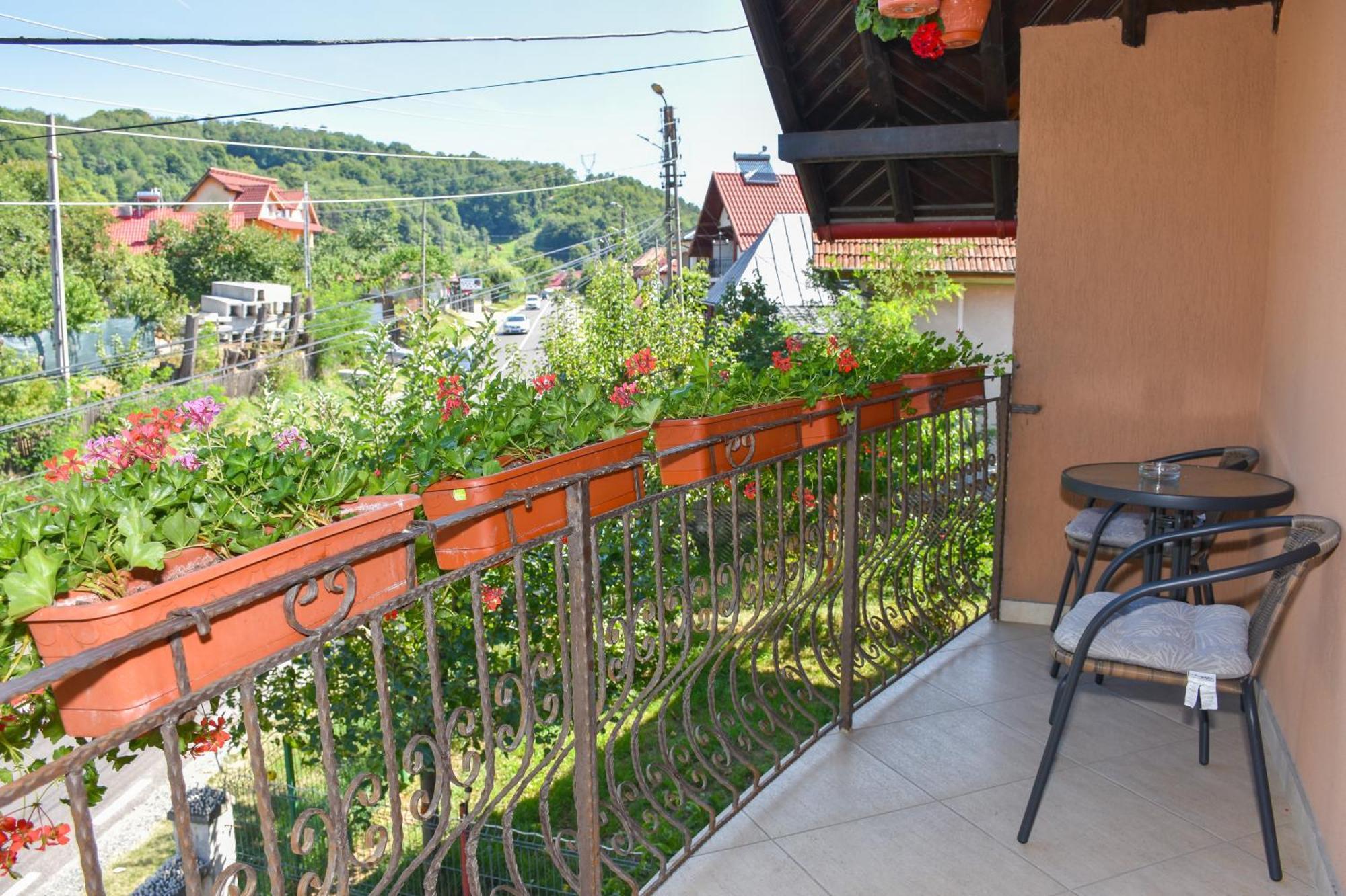Casa Diana-Maria Lägenhet Curtea de Argeş Exteriör bild