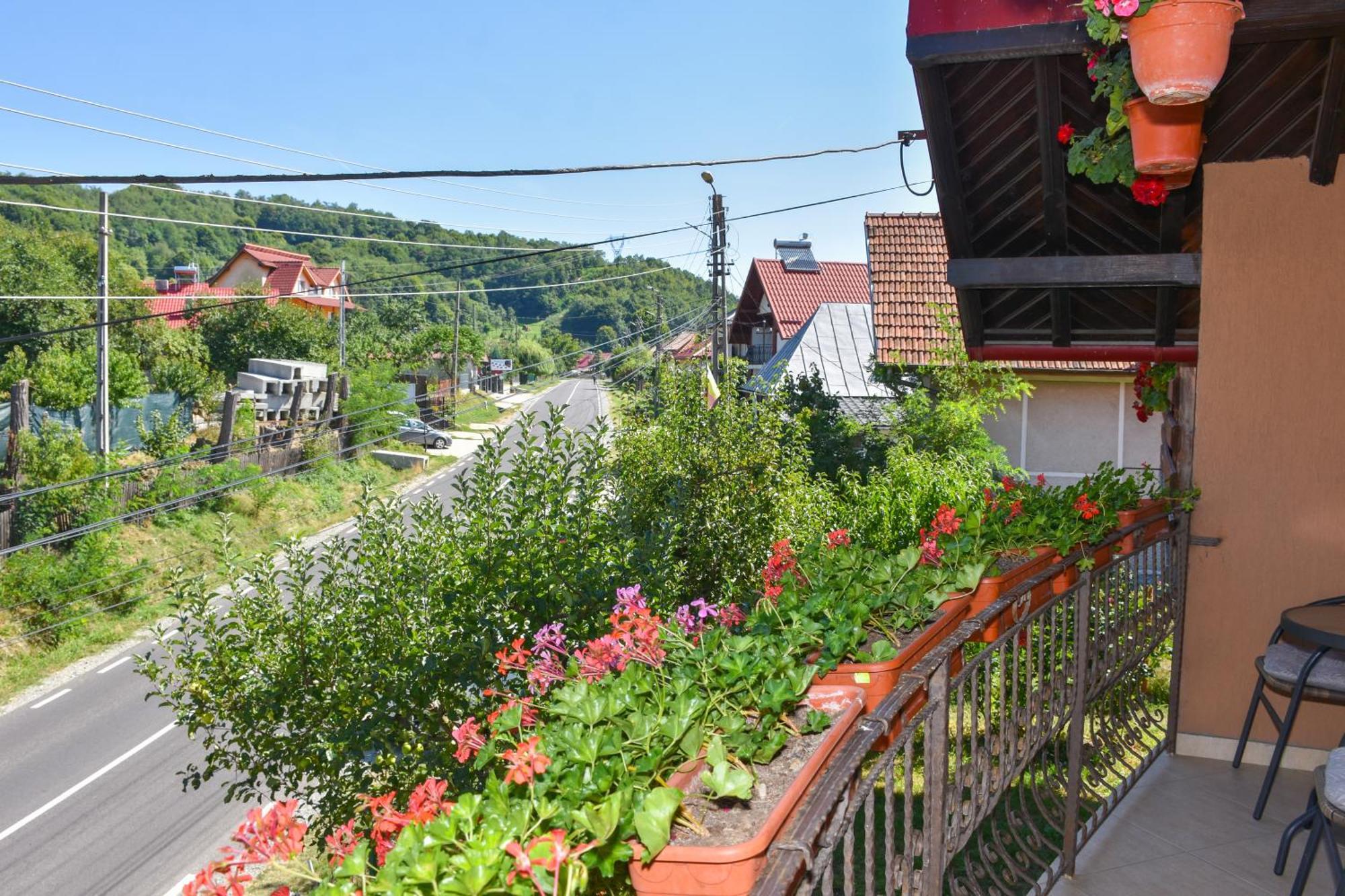 Casa Diana-Maria Lägenhet Curtea de Argeş Exteriör bild